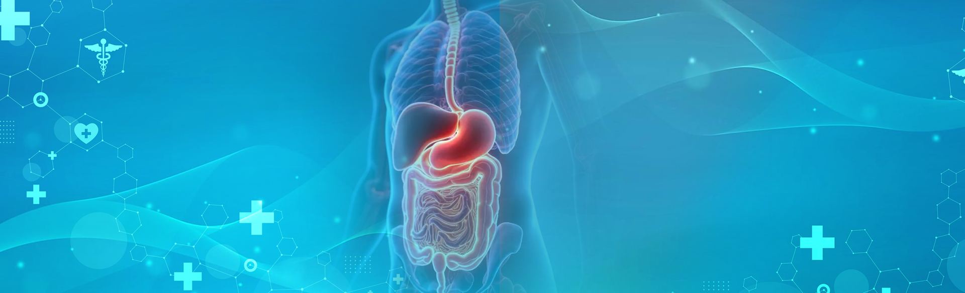 Alia International Hospital